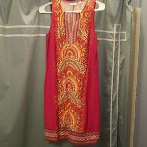 New York and Company